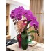 TO_09, 2枝 紫紅色蝴蝶蘭盆栽擺設